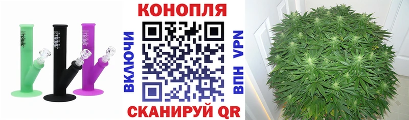 Канабис семена  Уяр 